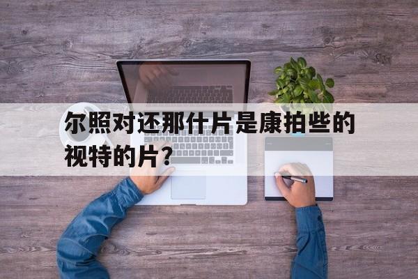 尔照对还那什片是康拍些的视特的片？